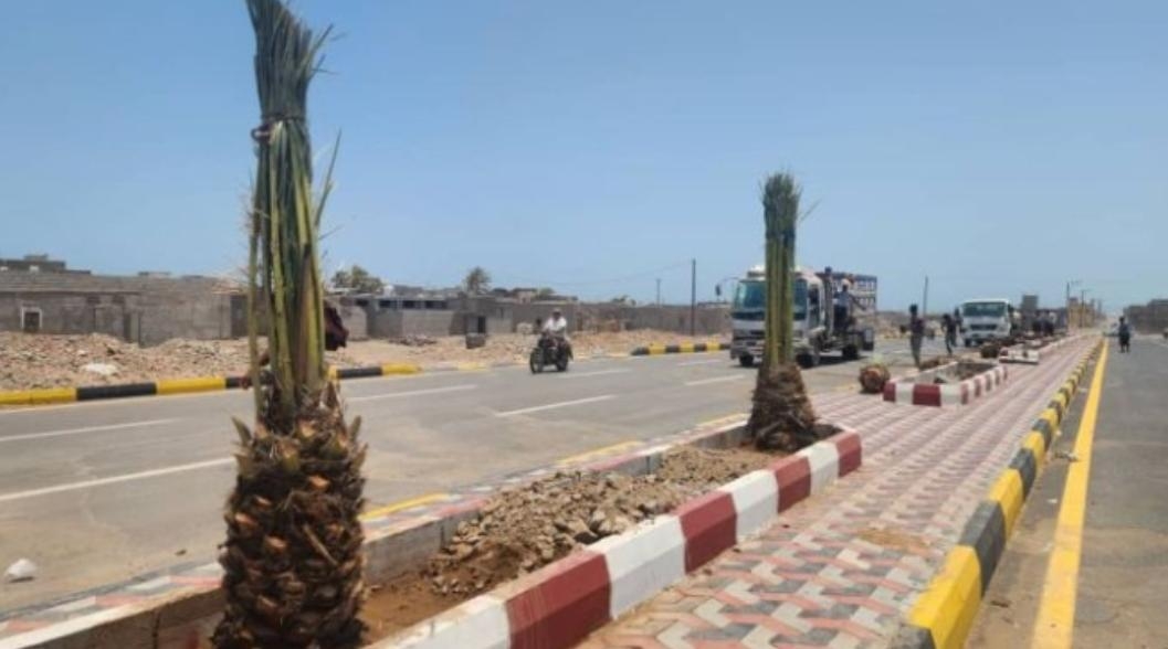انطلاق المرحلة الثالثة لتشجير مدينة المخا