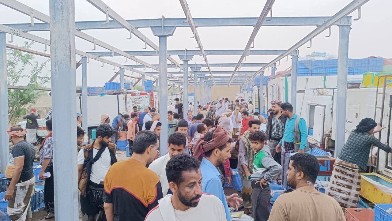 مدير عام مؤسسة المسالخ بتعز يوضح أسباب نقل سوق الأسماك