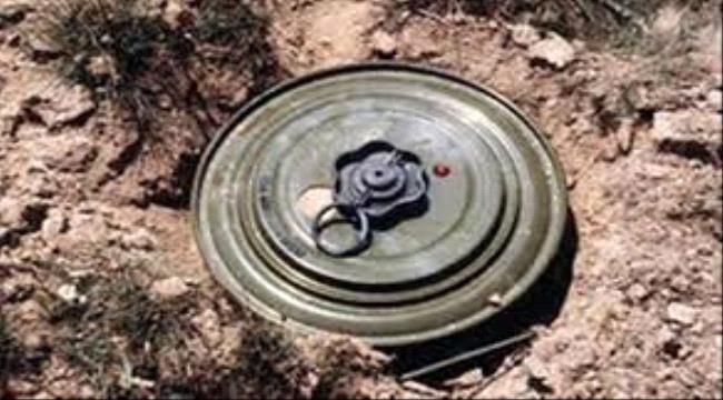استشهاد 5 أطفال بانفجار مقذوف من مخلفات مليشيا الحوثي في تعز