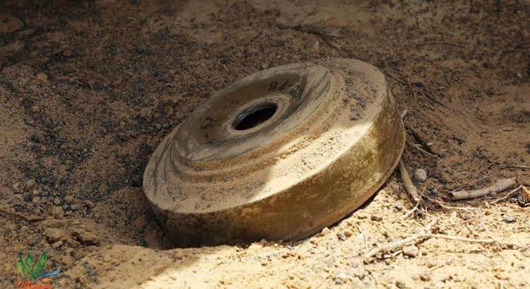 إصابة أربعة أطفال أشقاء بانفجار لغم حوثي في الحديدة