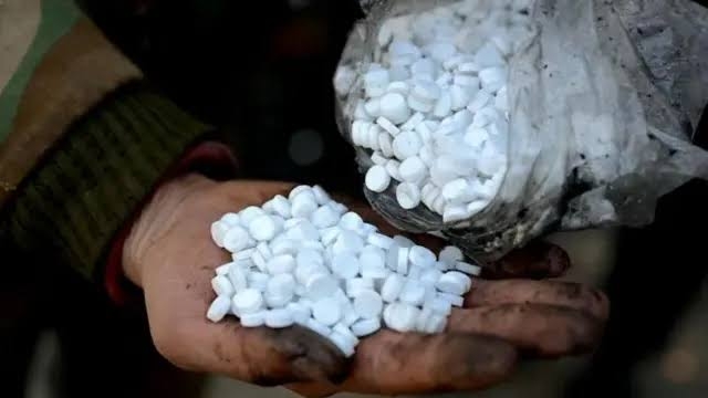 ضبط مهاجرين غير شرعيين بحوزتهم أكثر من 1050 حبة مخدرة في المهرة