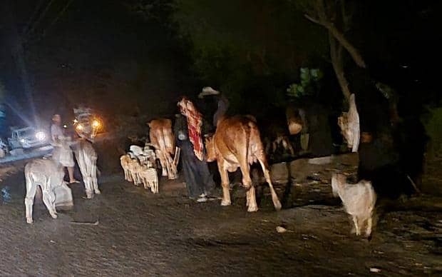 حين تحول لواء النصر الى بوابة للهزيمة .. عبث الإخوان يُهدد معركة تعز امام ذراع إيران