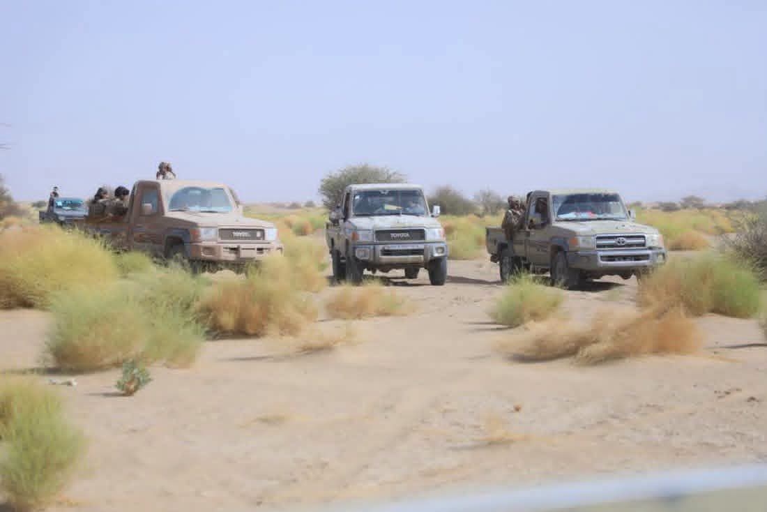 القوات المسلحة تعلن تحقيق تقدمات هامة في جبهات الساحل ومأرب وتعز